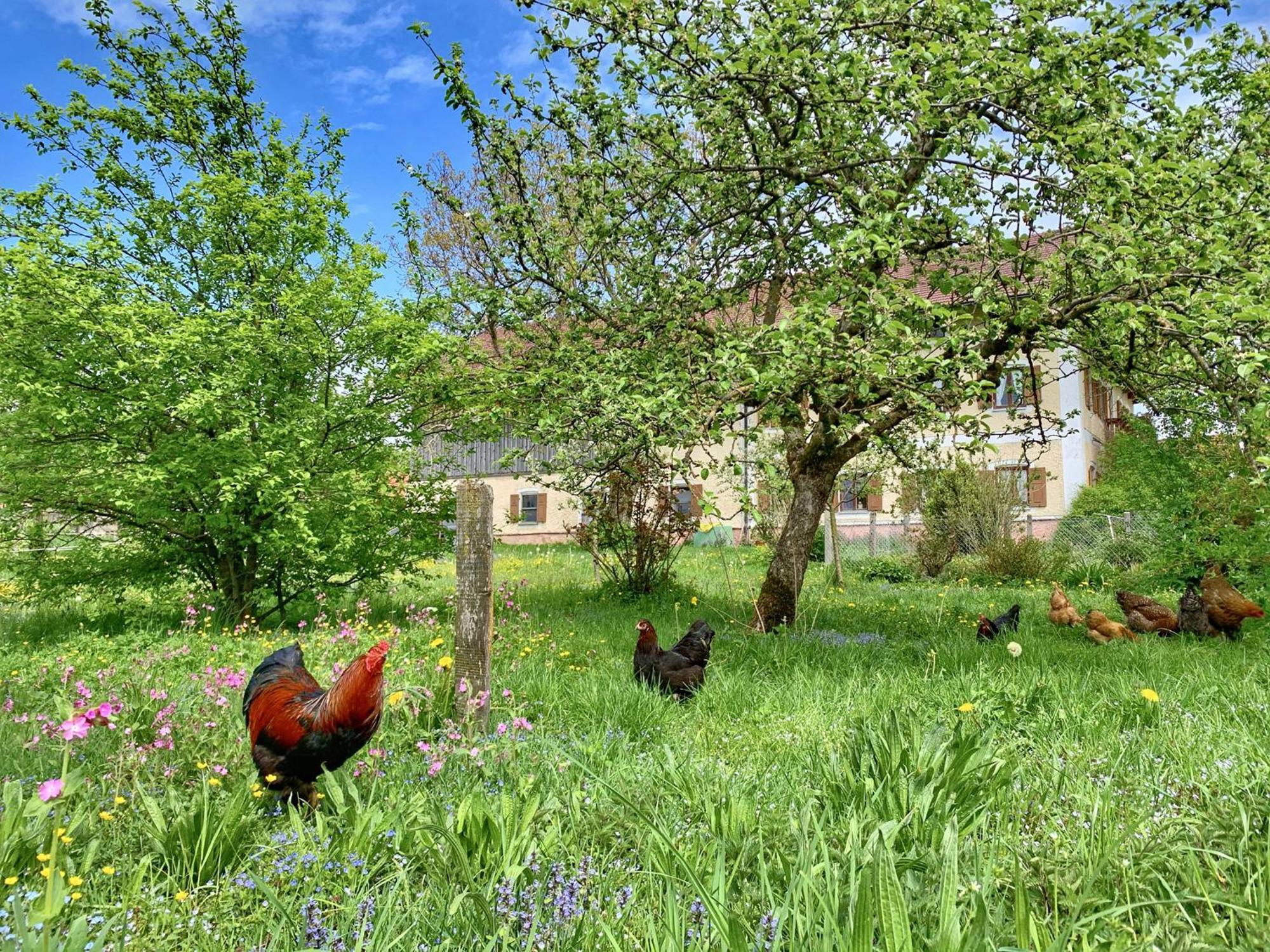Bauernhof Geigerhof Βίλα Aschau im Chiemgau Εξωτερικό φωτογραφία